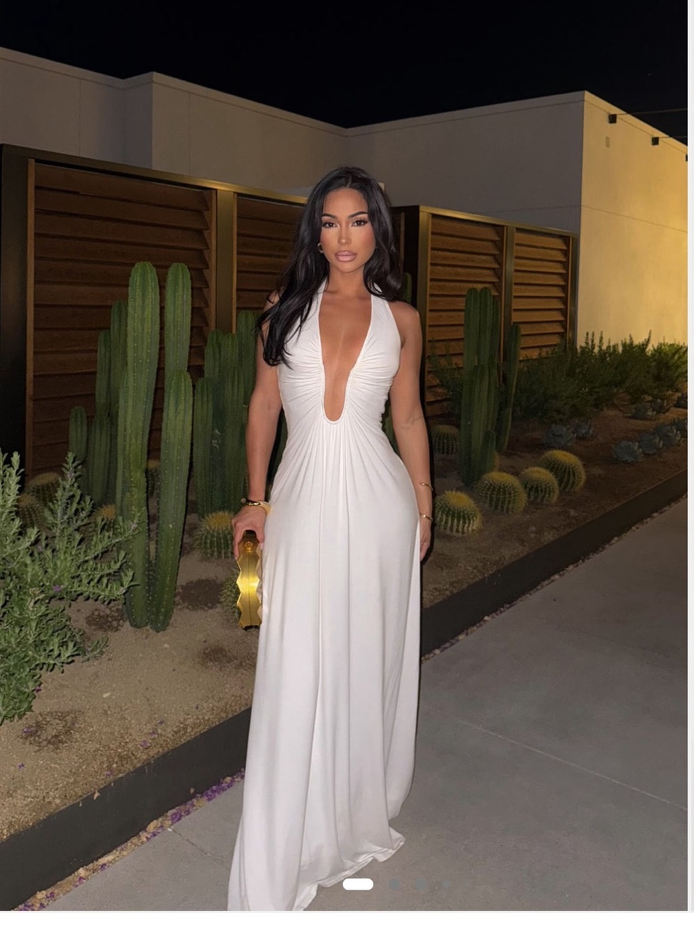 Charlotte Halter Plunge Maxi Dress in White XS BNWT